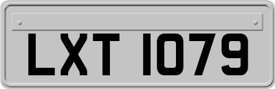 LXT1079
