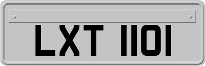 LXT1101