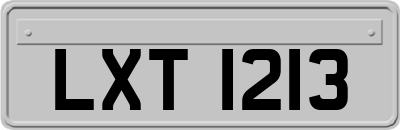 LXT1213