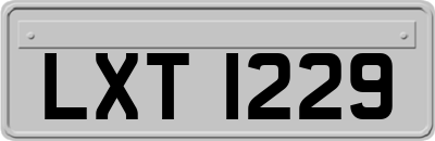 LXT1229