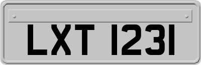 LXT1231