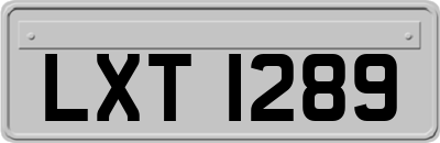 LXT1289