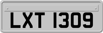 LXT1309