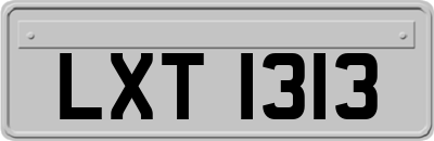 LXT1313