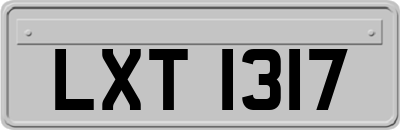 LXT1317