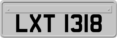 LXT1318