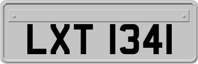 LXT1341