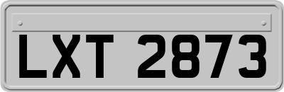 LXT2873