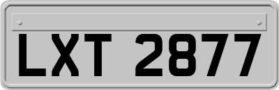 LXT2877
