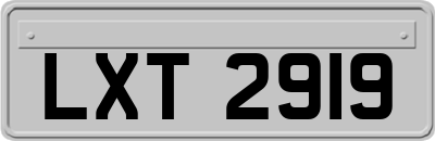 LXT2919