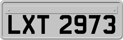 LXT2973