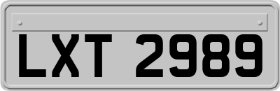 LXT2989
