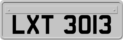 LXT3013