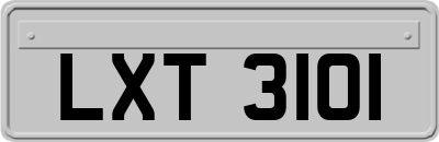 LXT3101