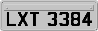LXT3384
