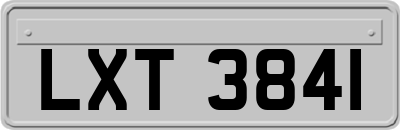 LXT3841