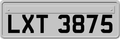 LXT3875