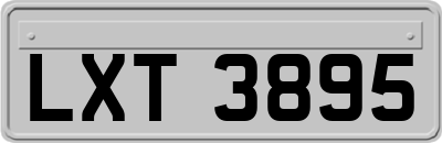 LXT3895