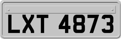 LXT4873