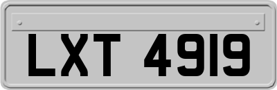 LXT4919