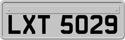 LXT5029