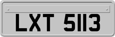 LXT5113