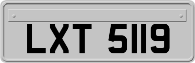LXT5119