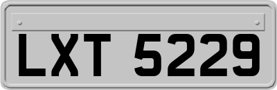 LXT5229