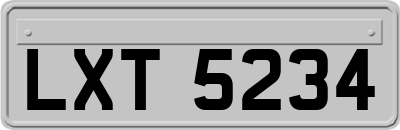 LXT5234