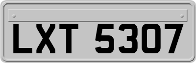 LXT5307