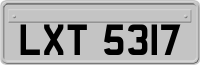 LXT5317