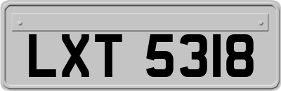 LXT5318