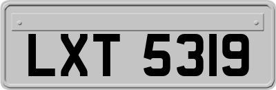 LXT5319