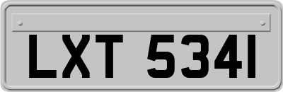 LXT5341
