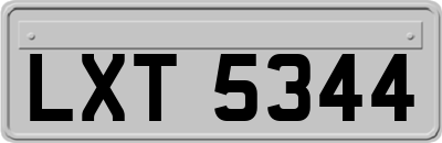 LXT5344