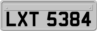 LXT5384