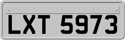 LXT5973