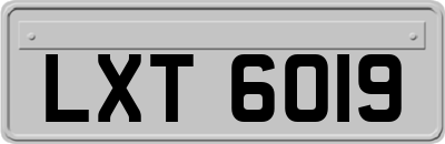LXT6019