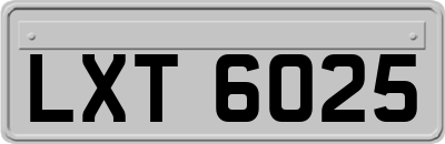 LXT6025
