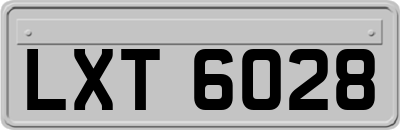 LXT6028