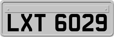 LXT6029