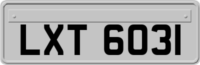 LXT6031