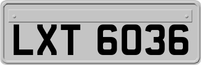 LXT6036