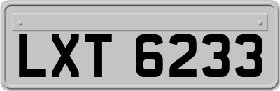 LXT6233