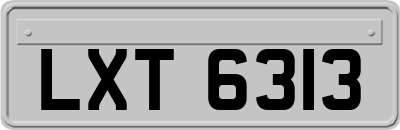 LXT6313