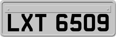 LXT6509