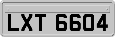 LXT6604