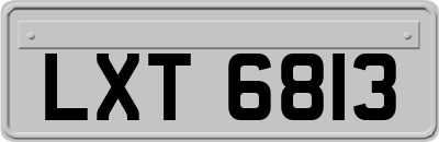 LXT6813