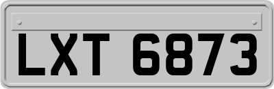 LXT6873