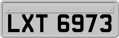 LXT6973
